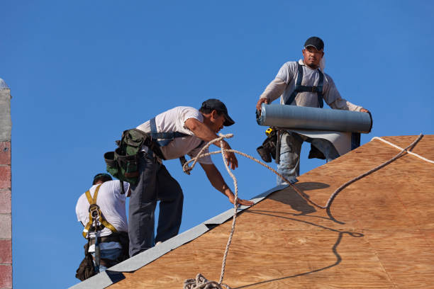 Best Roof Maintenance Services  in Clovis, NM